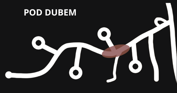 pod dubem